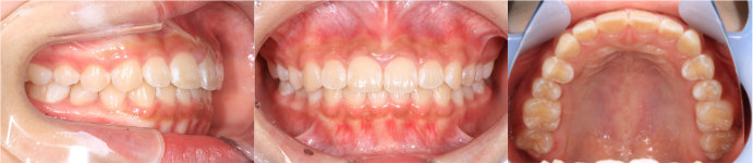  ȿ����������