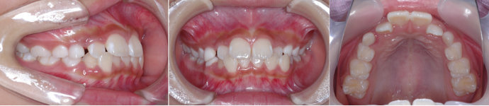 ȿ����������